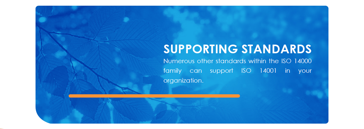 supporting standards to iso 14001